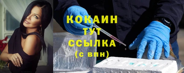молекула духа Белоозёрский