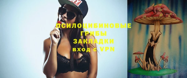 молекула духа Белоозёрский