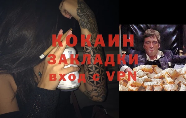 молекула духа Белоозёрский