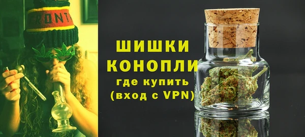 молекула духа Белоозёрский
